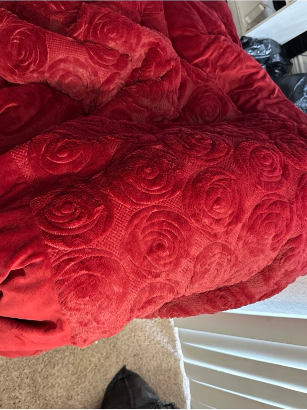 Daisy Fuentes Queen-sized Red embossed rose pattern comforter
